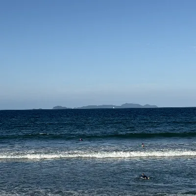 Waipu Long Board