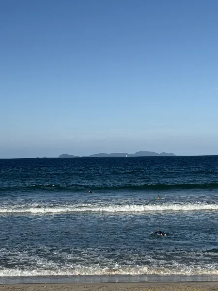 Waipu Long Board