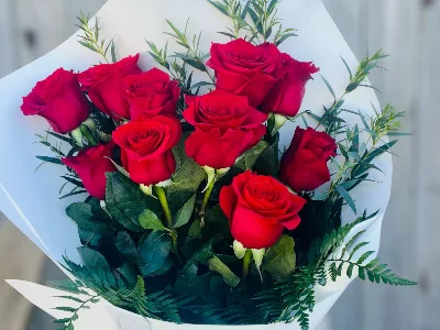 ROSES - TIMELESS ELEGANCE