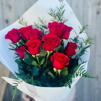 ROSES - TIMELESS ELEGANCE