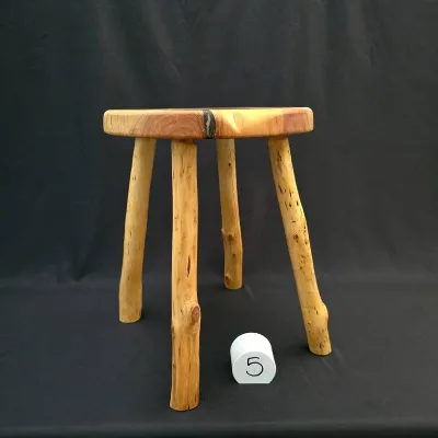 Macrocarpa freeform stool