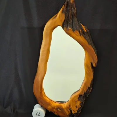 Mirror; Headlog Kauri